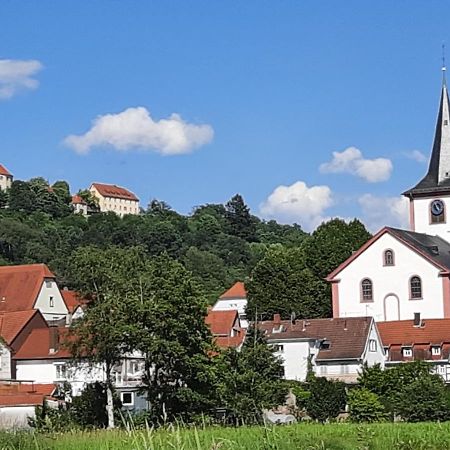 Ferienwohnung Odenwaldflair Reichelsheim Eksteriør bilde