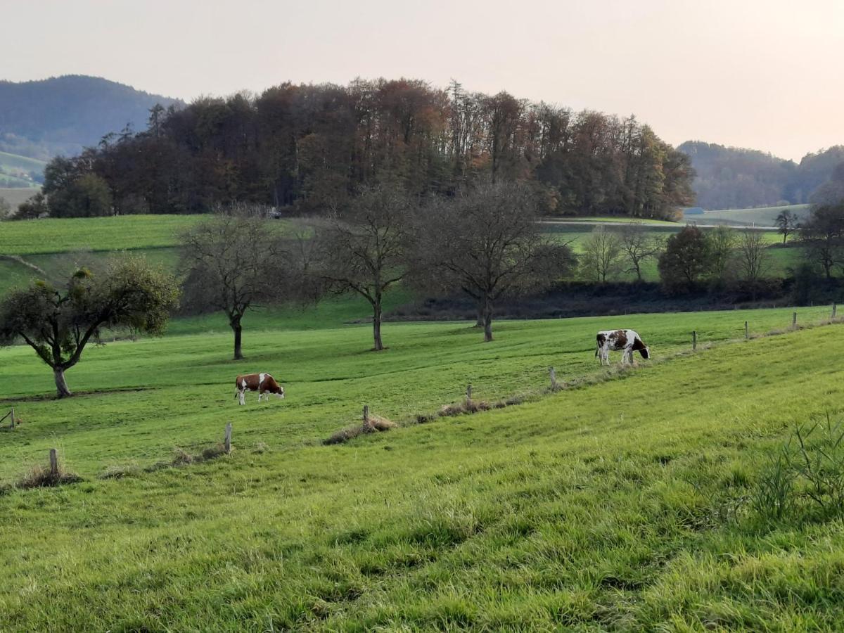 Ferienwohnung Odenwaldflair Reichelsheim Eksteriør bilde